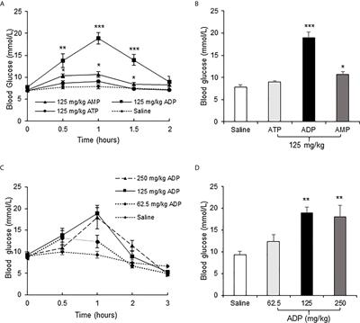 ADP Induces Blood Glucose Through Direct and Indirect Mechanisms in Promotion of Hepatic Gluconeogenesis by Elevation of NADH